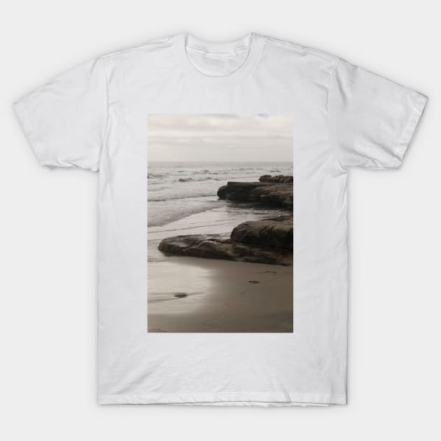 La Jolla North Beach - 2 - A Close-Up © T-Shirt by PrinceJohn